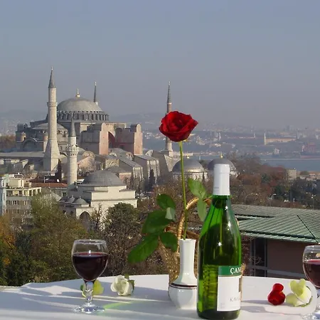 Hotel Hali