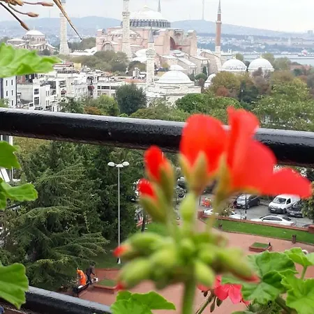 Hotel Hali 3*