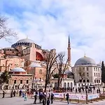 Hali 3*