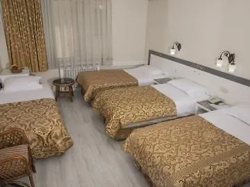 هالي 3*