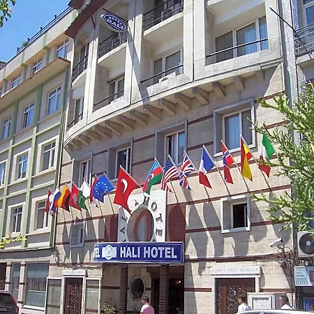 Ξενοδοχείο Hali 3*