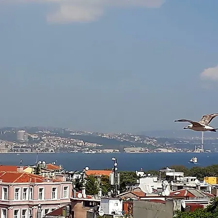 Hali